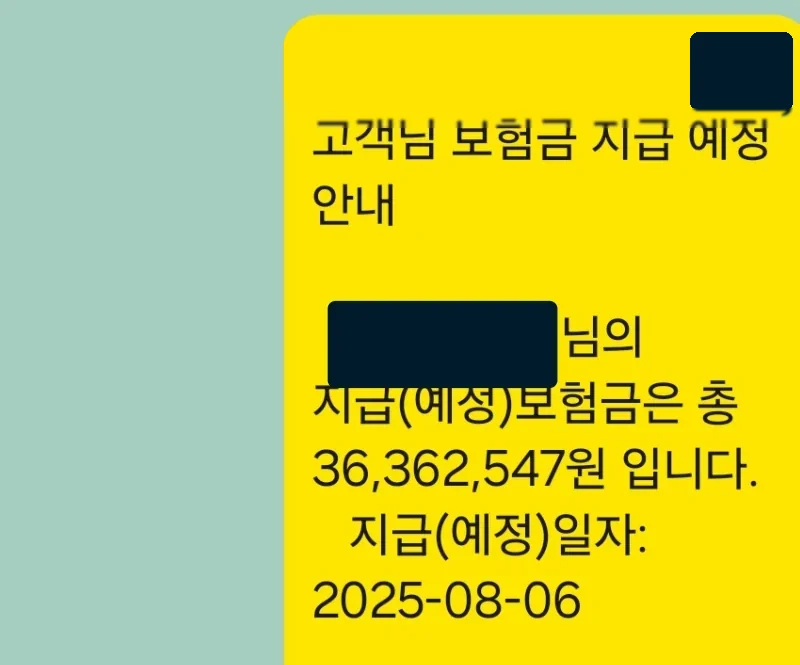 고객 보험금 지급 예정 안내 실제 문자 — 개인정보 가림 처리